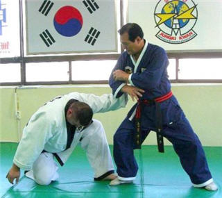 hapkido